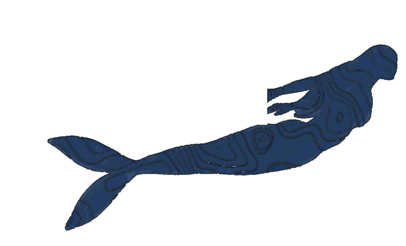 Merrow Mapping logo